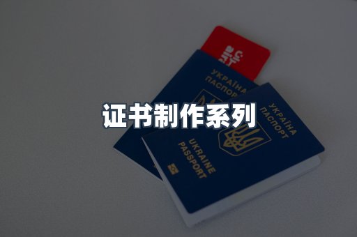 证书制作系列